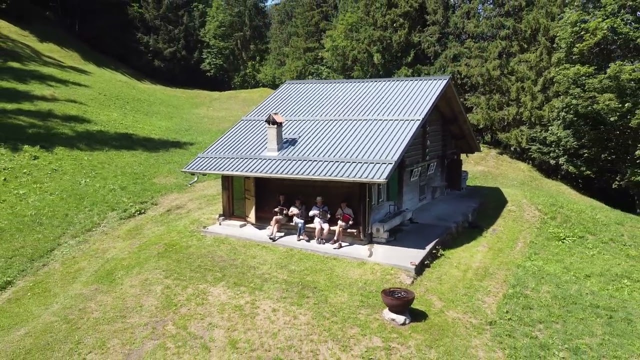 Hohe Tannen weisen die Sterne