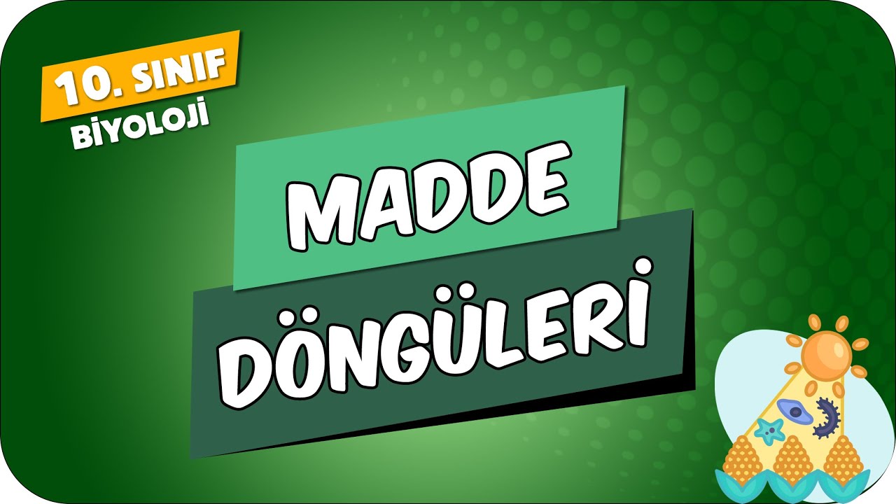 Madde Döngüleri | 10.Sınıf Biyoloji #2024