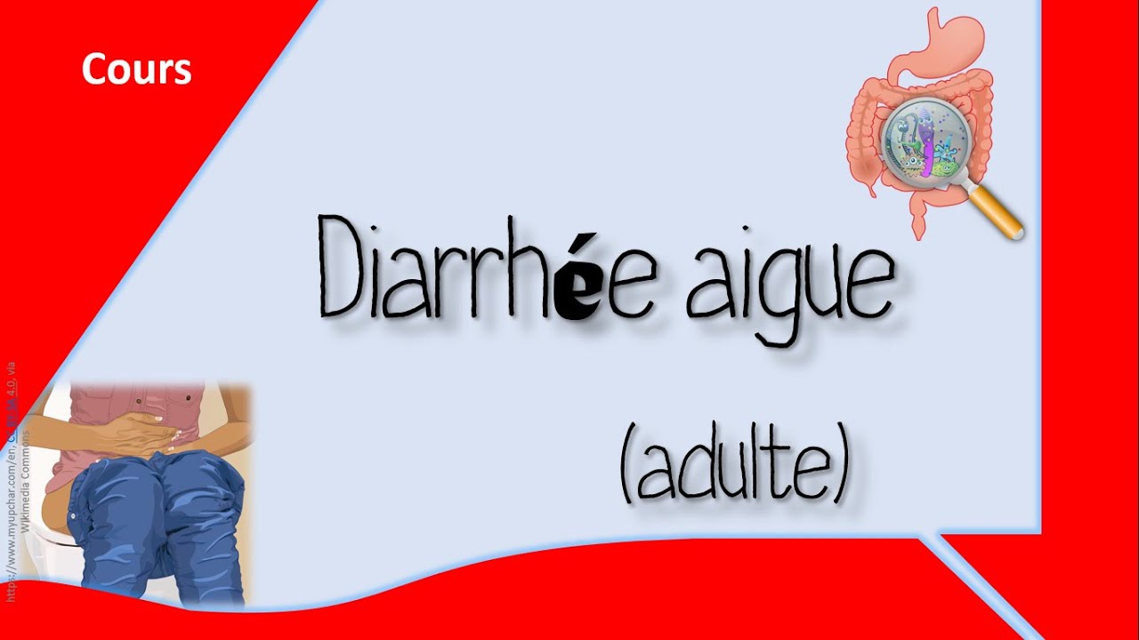 Quelle prise en charge pour une diarrhée 💩❓🤨 - Cours - Hépato.Gastro.Entérologie