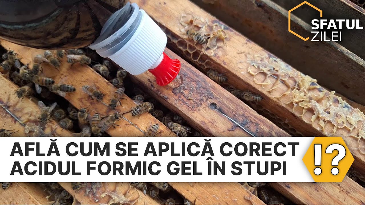 Afla cum se aplica corect Acidul Formic GEL in stupi !