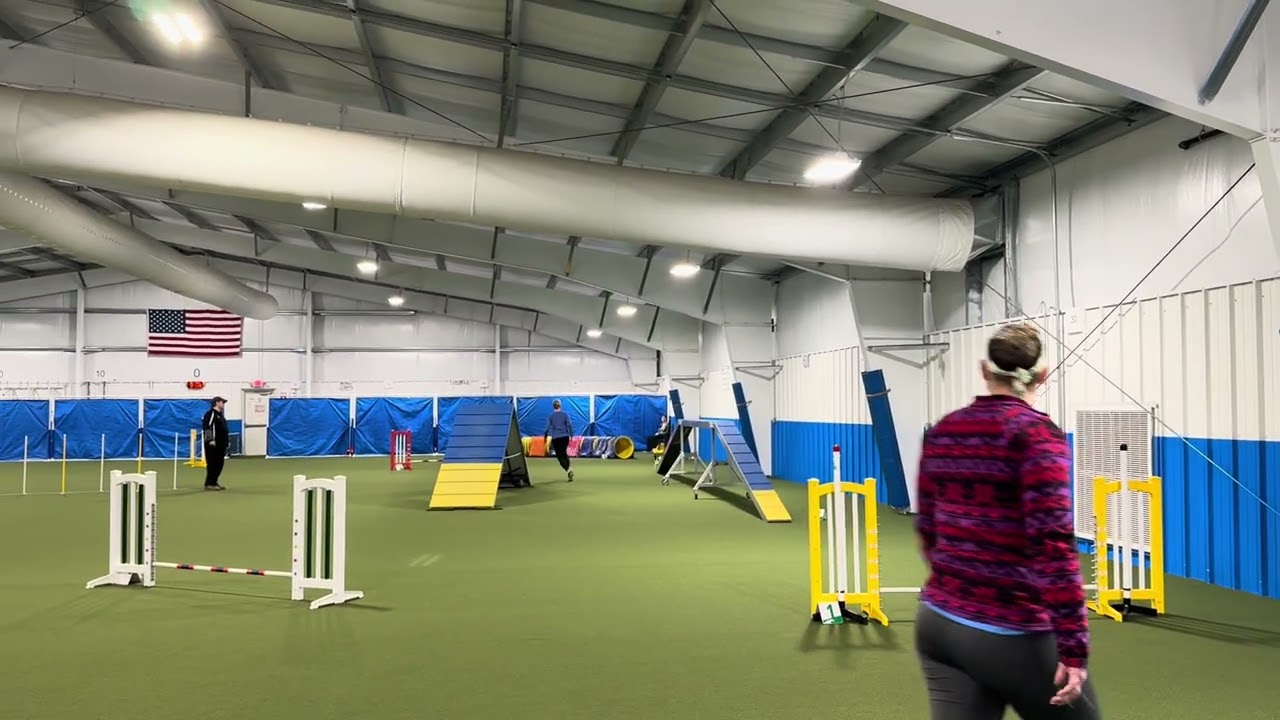 2/15/26 USDAA Adv Standard 45.33” 182 yds sct 69