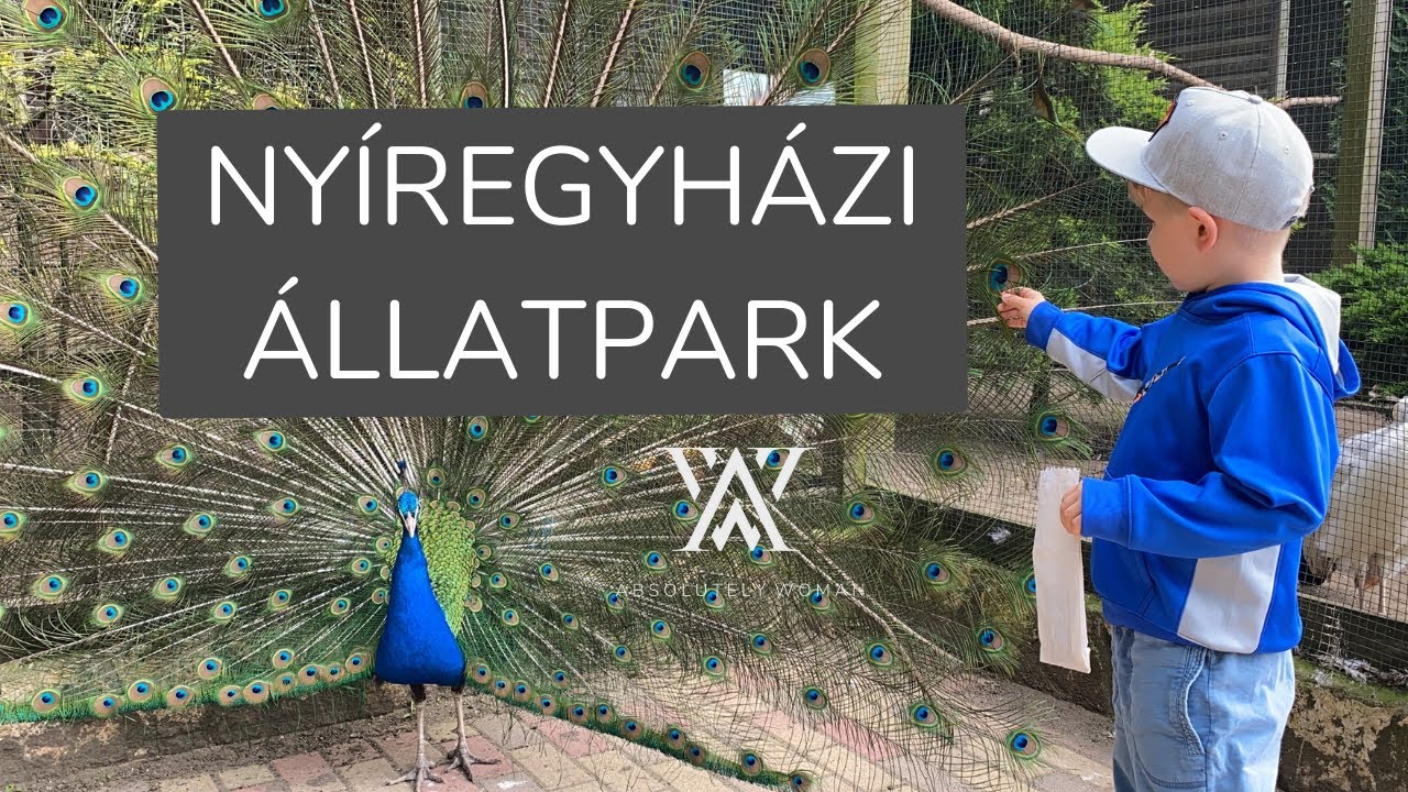 Nyíregyházi állatpark