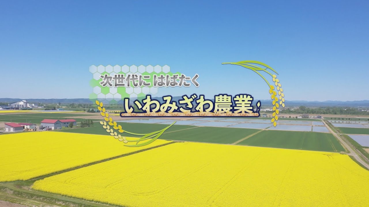 「次世代にはばたくいわみざわ農業」