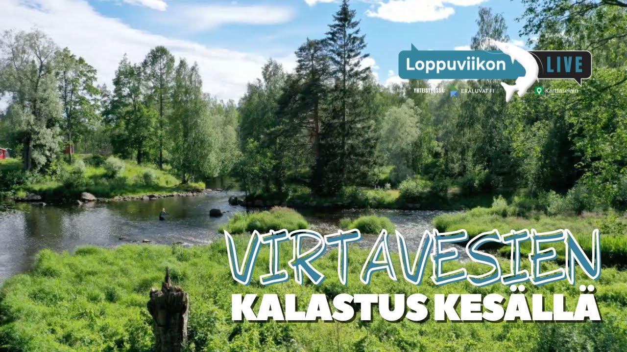 Virtavesikalastus kesällä | Loppuviikon LivE