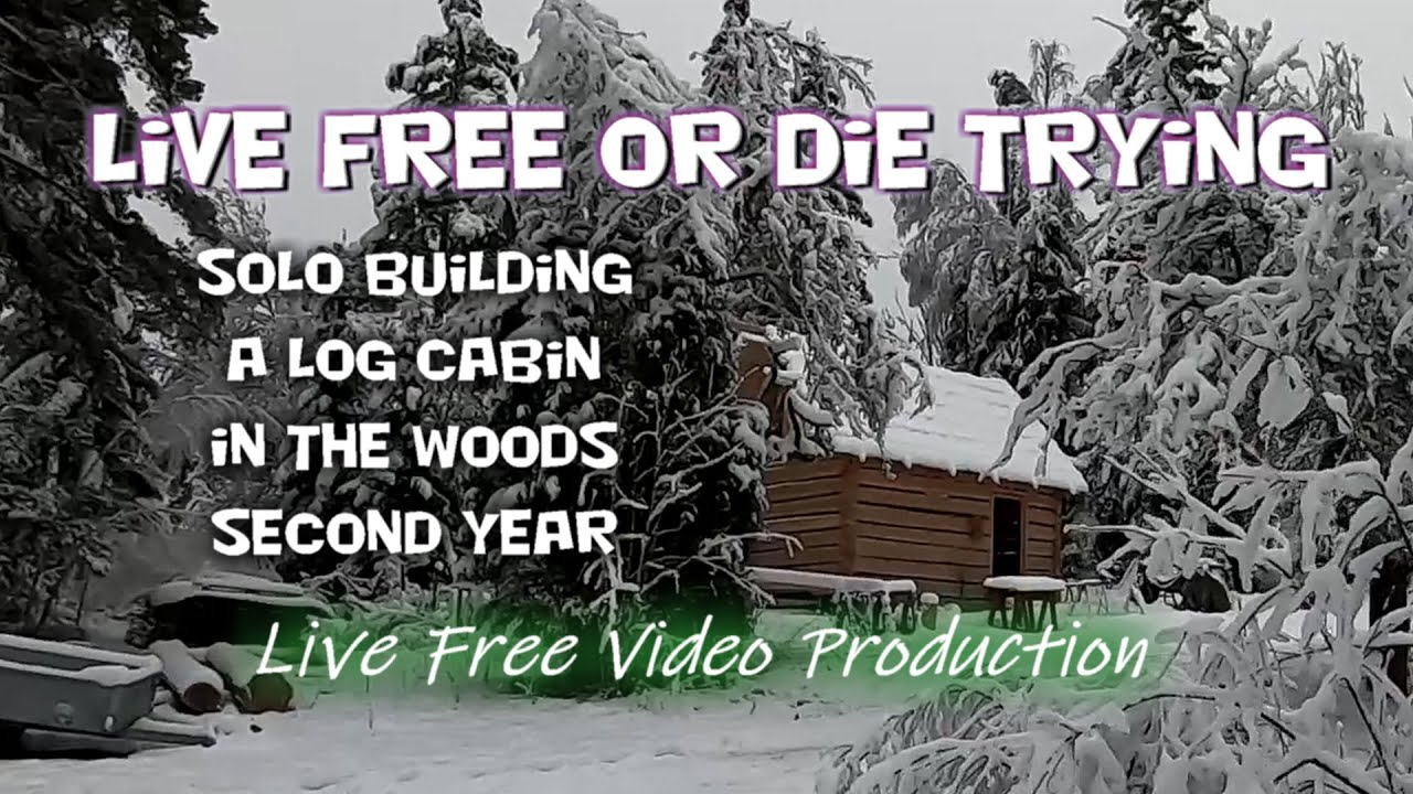 Solo building a log cabin. - Second Year.