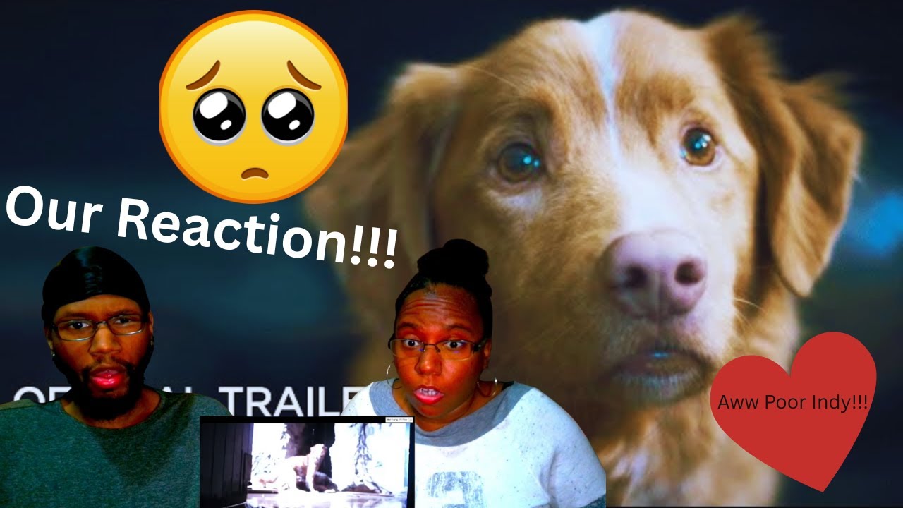 Good Boy - Official Trailer - Reaction!
