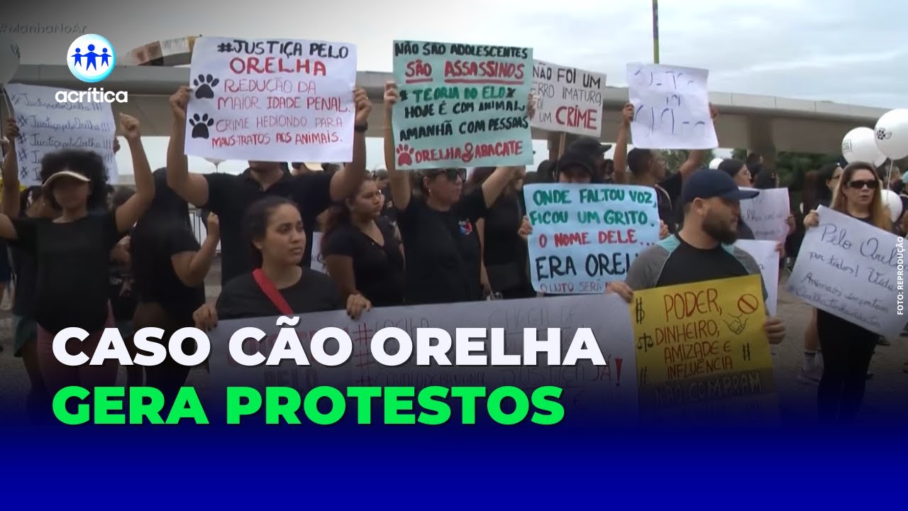 CASO CÃO ORELHA REACENDE LUTA CONTRA MAUS-TRATOS A ANIMAIS