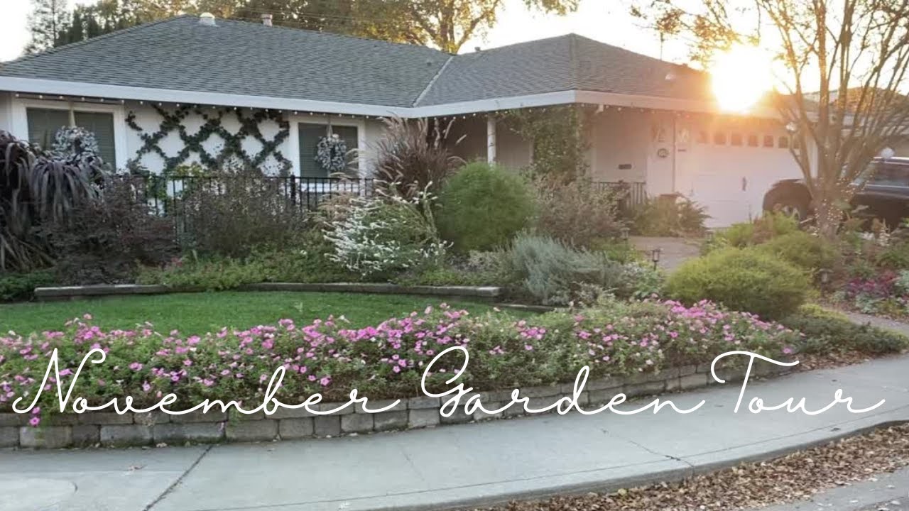 November Small Yard Garden Tour - Front Yard