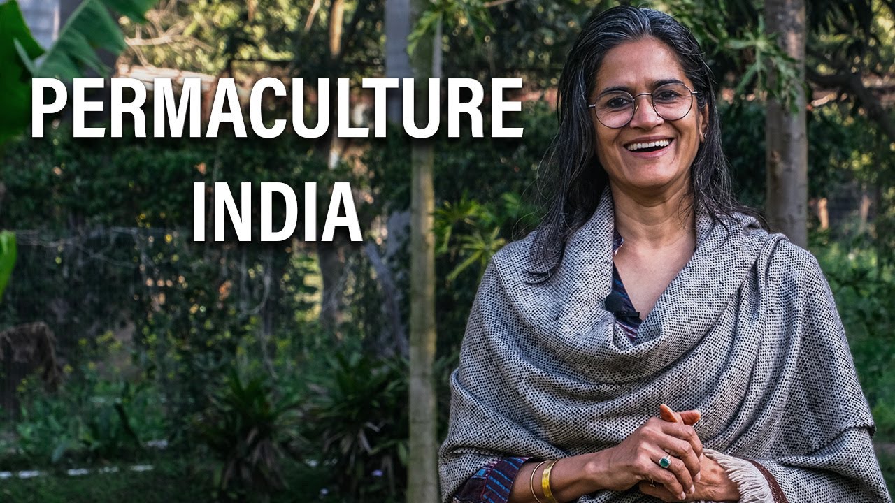 From an Ego driven life to an Eco driven life, Permaculture Farm Aanandaa