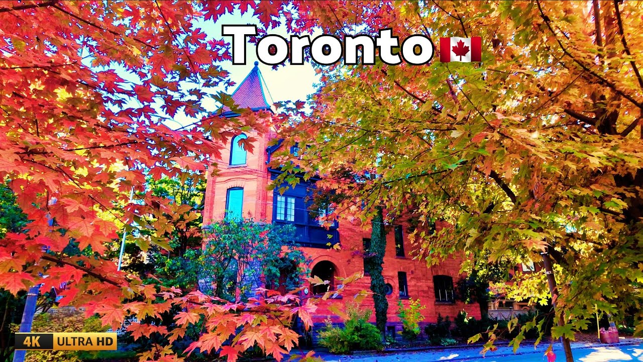 🍁Toronto's RICHEST Neighborhood EXPLORED in STUNNING Fall Colors!