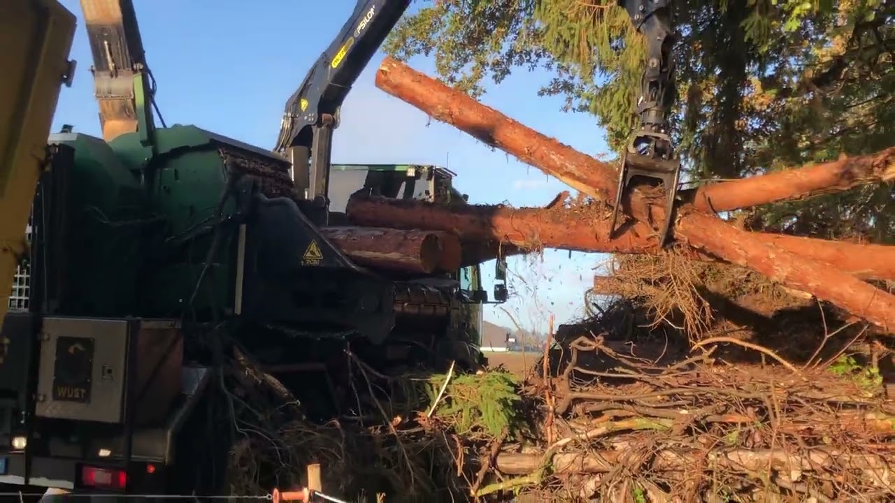 Wüst Holzhacker bei der Verarbeitung vom liegendem Holz