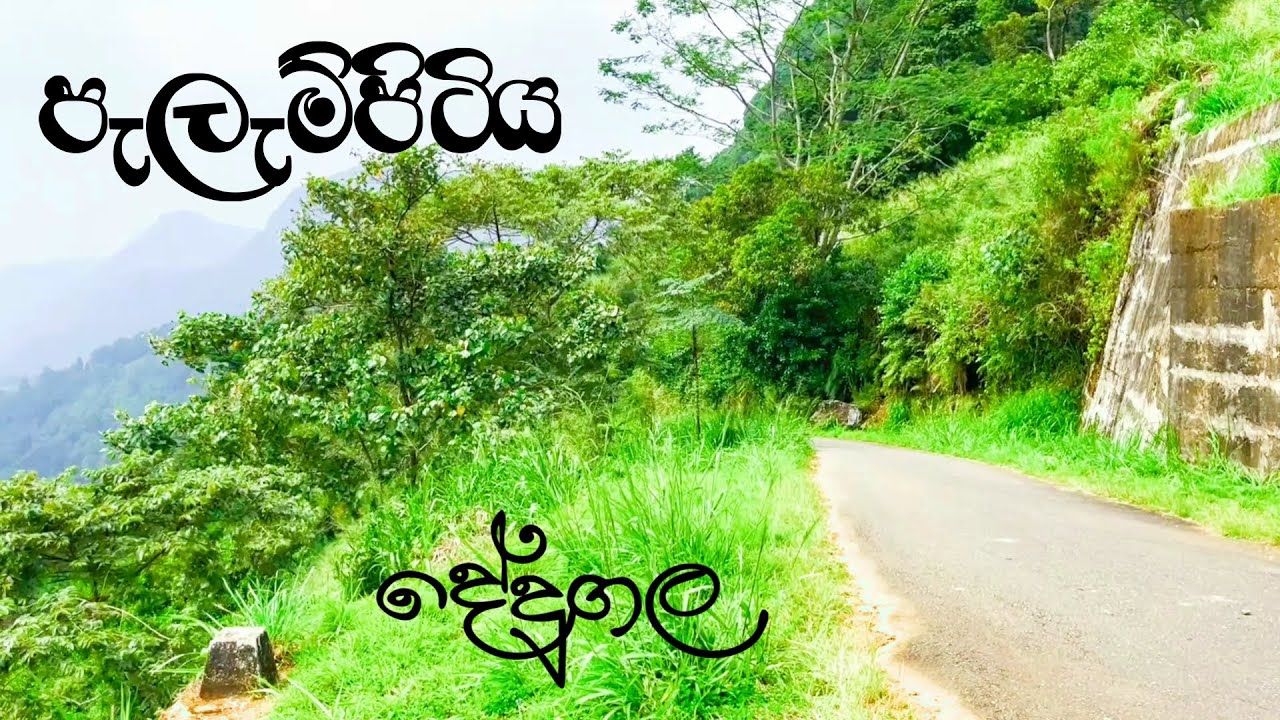 Pelempitiya View Point