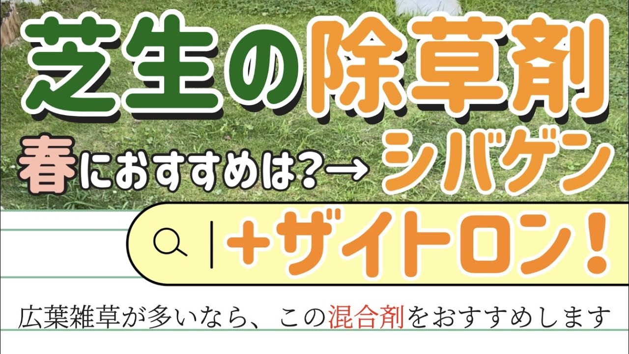 【芝生】春の雑草が生えにくくなる！！予防できる除草剤