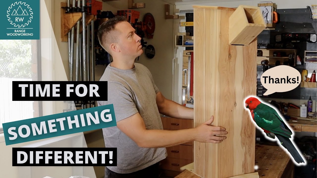 Building a Parrot Nesting Box // Something a Bit Unusual