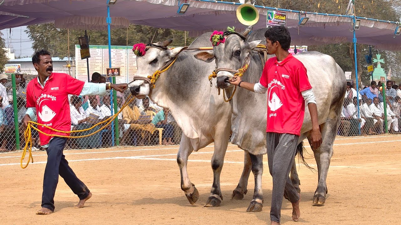 2026-రెంటచింతల.సీనియర్స్.2వ జత.ఐతరాజు సత్యనారాయణ గారు కోప్పోలు గ్రామం నల్లగొండ జిల్లా తెలంగాణ రాష్ట్