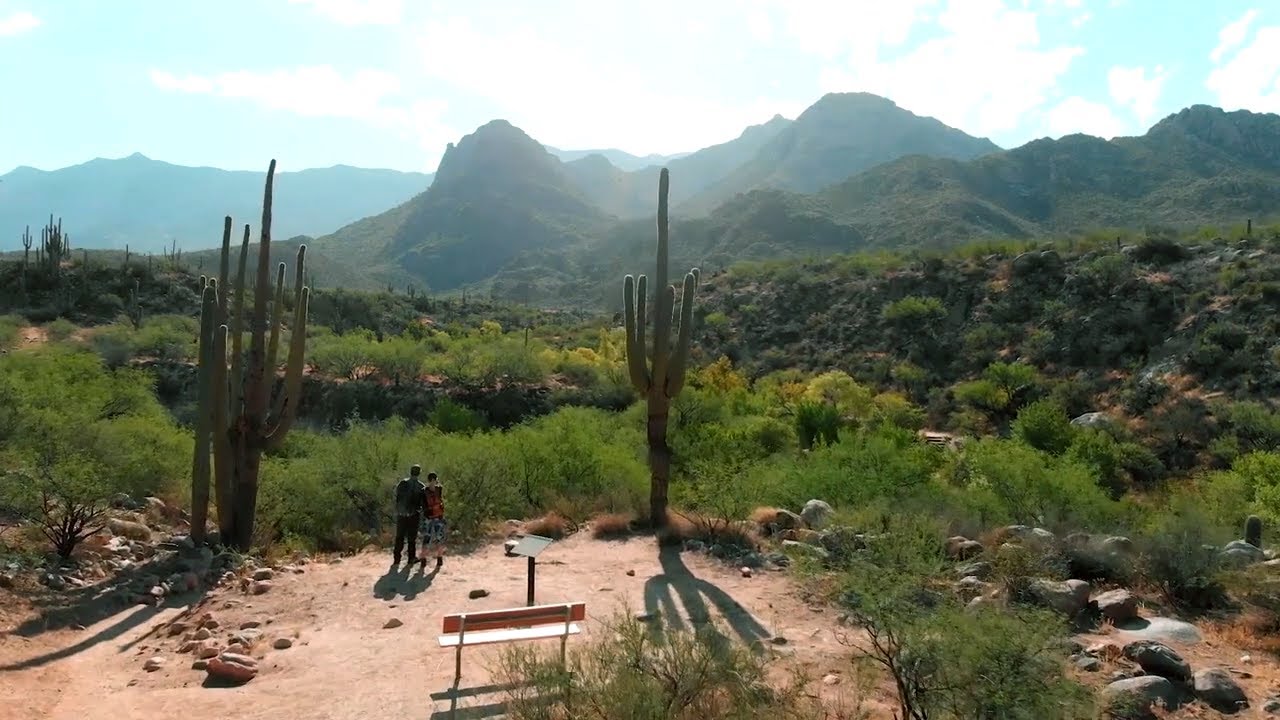 Vacationing in Oro Valley