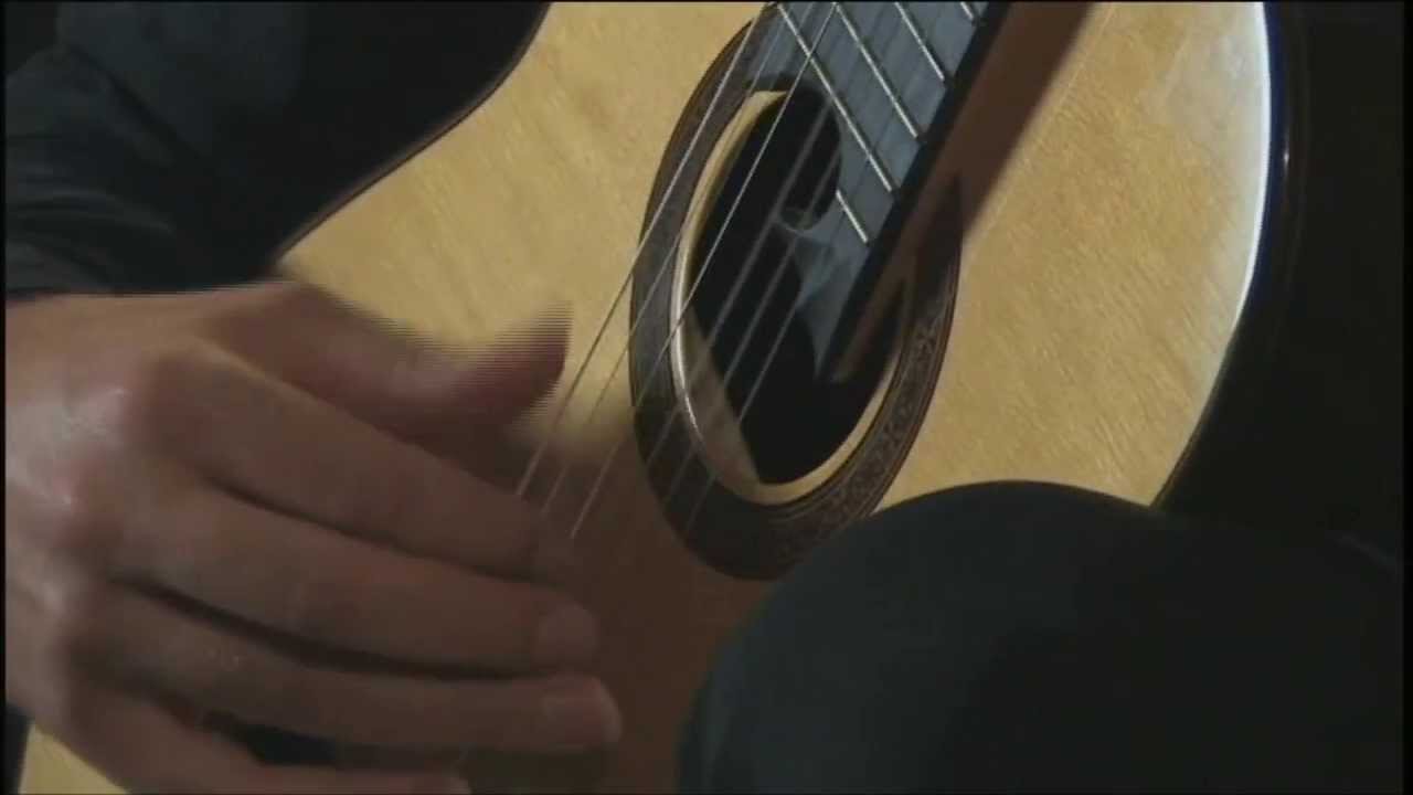 Marcin Dylla - M. Giuliani: Rossiniana No. 1