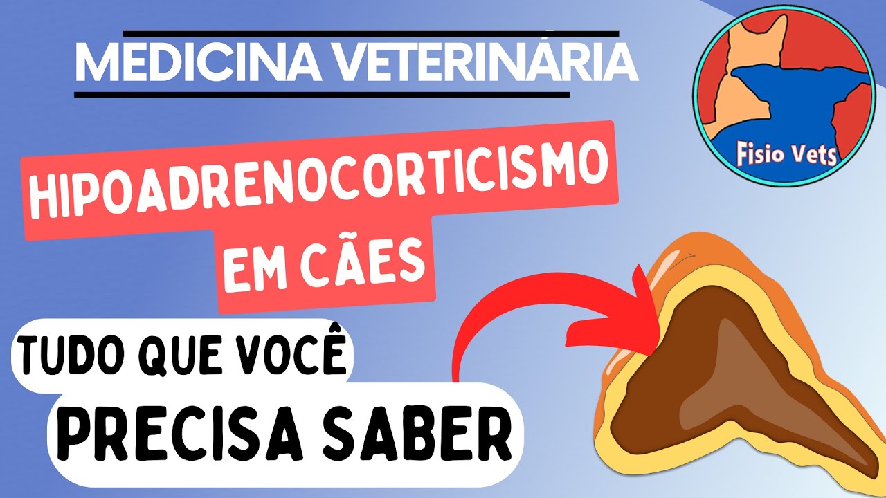 Hipoadrenocorticismo em cães (Doença de Addison): Fisiopatologia, Sinais clínicos e Diagnóstico