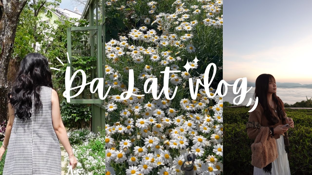 Healing tại Đà Lạt xinh đẹp l dalat vlog phần 1🌷