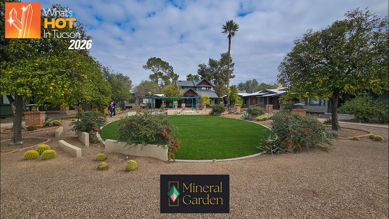 NEW Venue in Tucson Fine Mineral District!! - Mineral Garden - What's Hot In Tucson: 2026