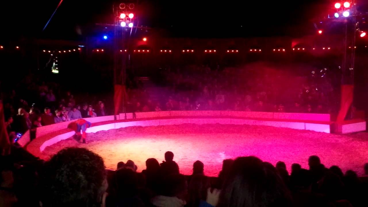Zippos Circus Blackheath '13