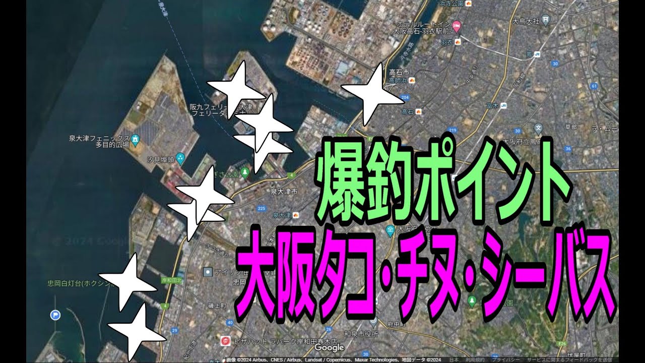 南大阪の爆釣ポイント！タコ、チヌ、シーバスに青物、タチウオも狙える釣場を紹介！