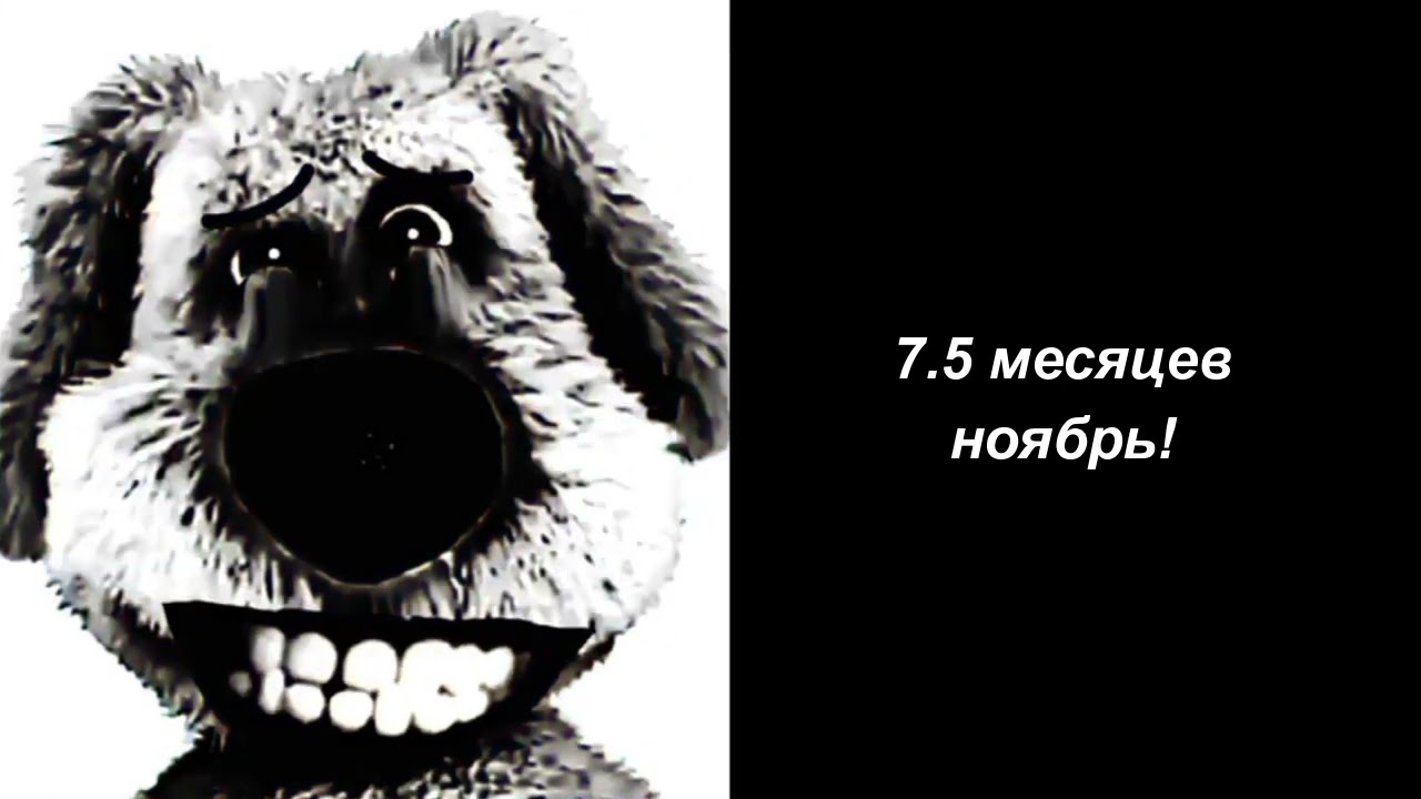 психованные лица бена 70 фаз, сколько осталось до 15 июня.