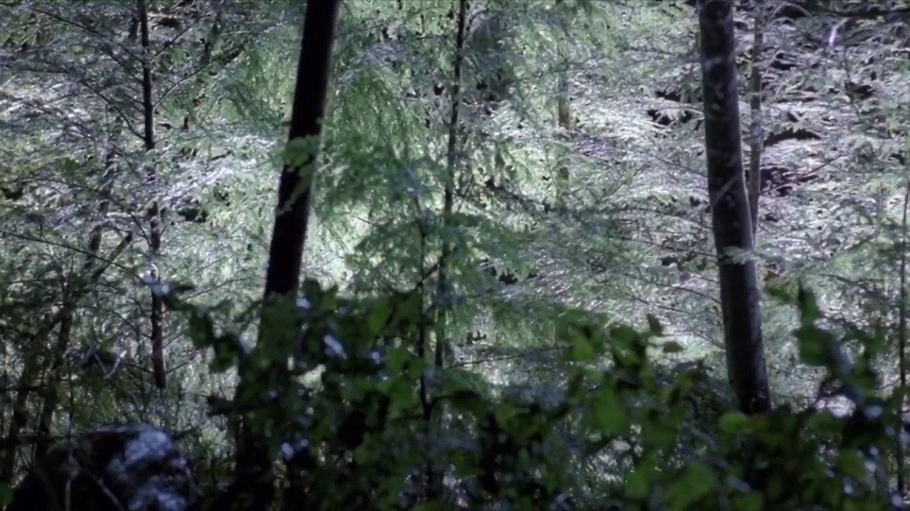 The X-Files - Young and Beautiful