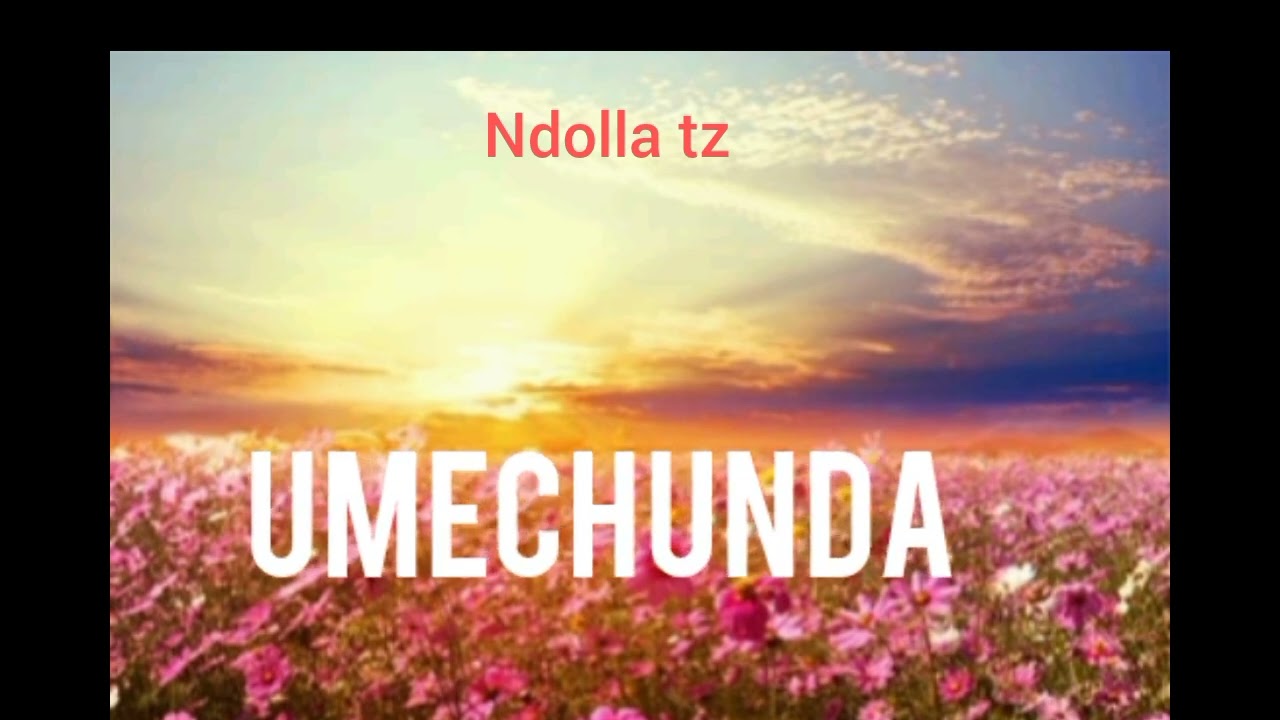 Ndolla_tz__umechunda_official_audio singeli_#music #lyrics #duet #love ##singelitrending 