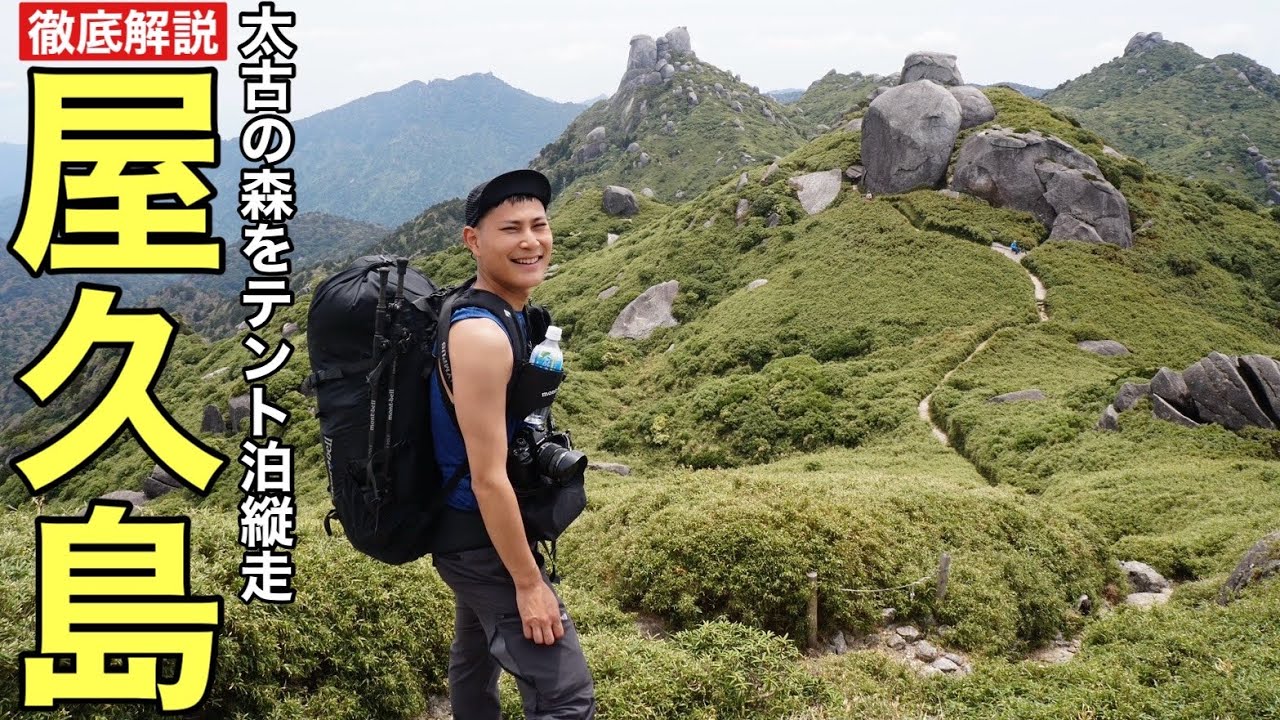 【屋久島登山】の楽しみ方を徹底解説‼︎2泊3日で太古の森をテント泊縦走‼︎淀川・宮之浦岳・縄文杉・白谷雲水峡/2025年版