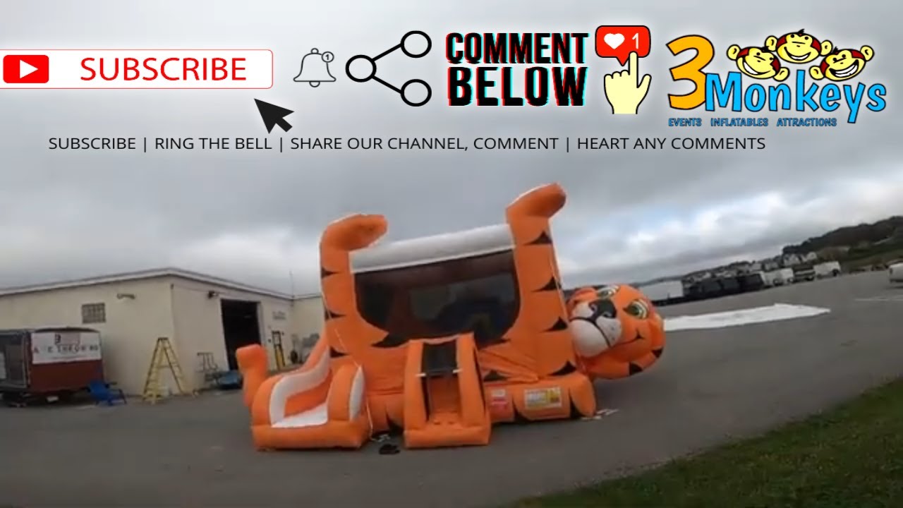 Tiger Belly Bounce Combo Rental | 3monkeysinflatables.com
