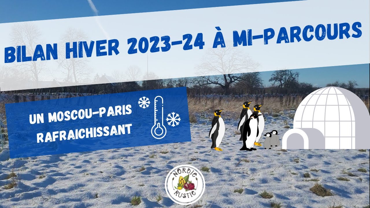 NORDIC RUSTIC - VLOG : Bilan mi-parcours de l'Hiver 2023-24 : Agrumes avocatiers et quelques autres❄