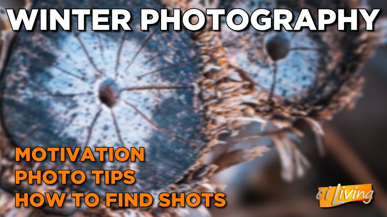 Winter Time Photography Tips