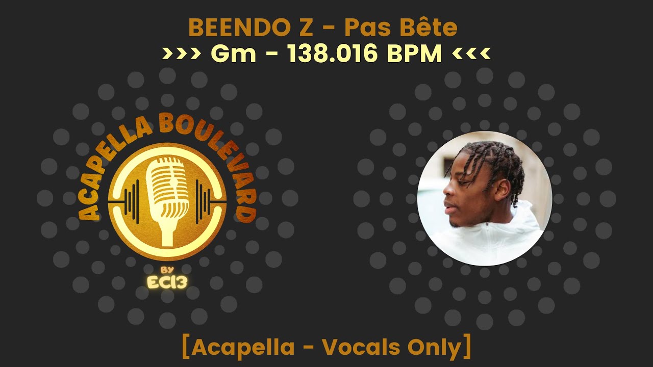 BEENDO Z - Pas Bête || [Acapella - Vocals Only] || [138.016 BPM - Gm] || by EC13