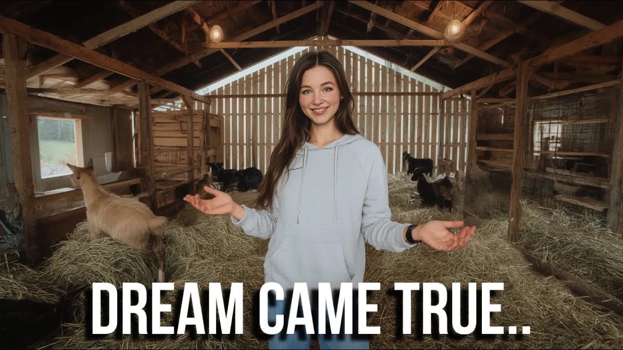 Dream Barn jest KOMPLETNY na SYBERII! 🏡 + Wycieczka po miejskim sklepie spożywczym (ceny Cię zask...