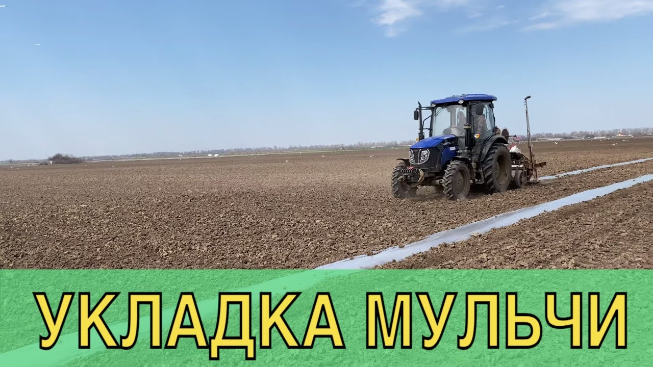 3 действия при укладке мульчи для дыни