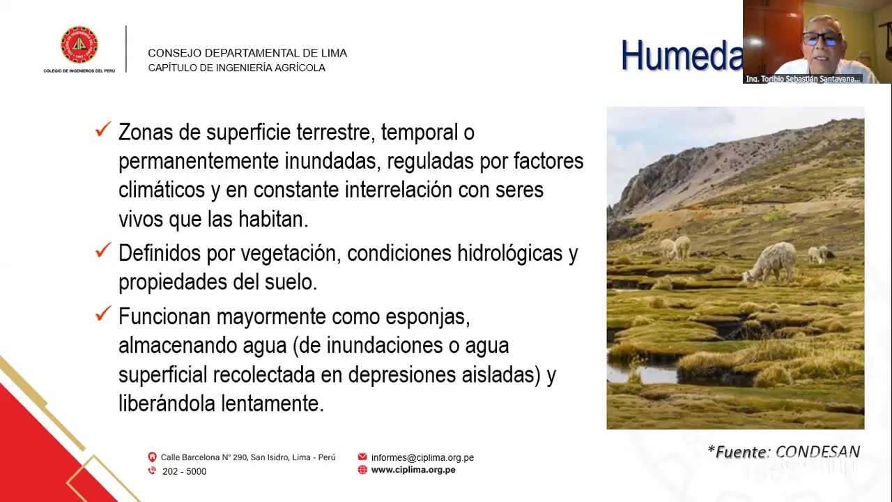 CONFERENCIA MAGISTRAL: IMPORTANCIA DE LOS HUMEDALES EN LA GESTIÓN DE CUENCAS HIDROGRÁFICAS