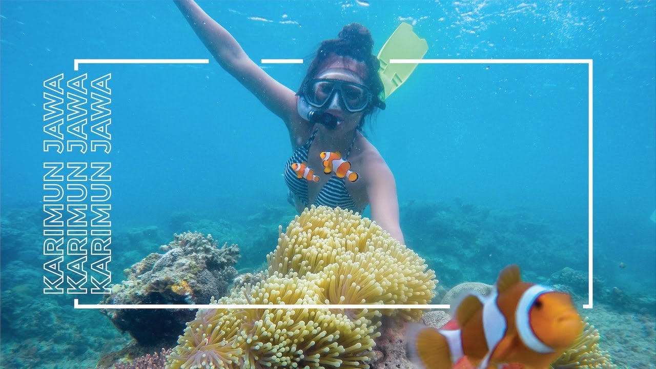 KARIMUNJAWA  | EXPLORE
