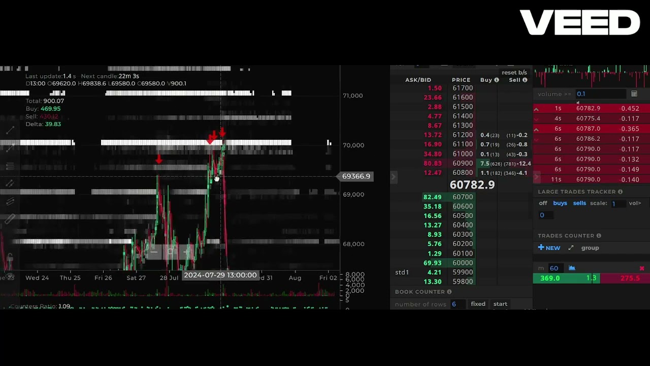 2024 08 09 BTC USD LEVEL 5 / HIDDEN VOLUME/ ANALYSIS