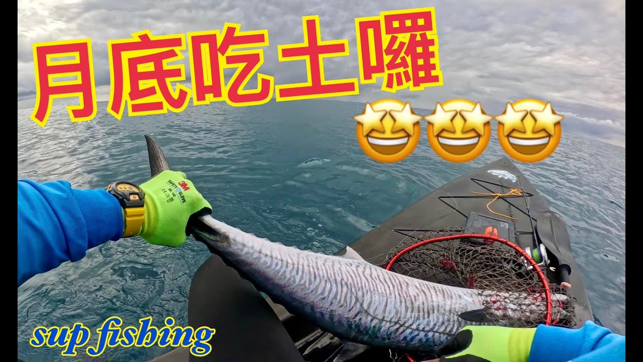 2026年1月底吃土囉!! #土魠 #石斑 #煙虎 #supfishing #suptaiwan #shimano