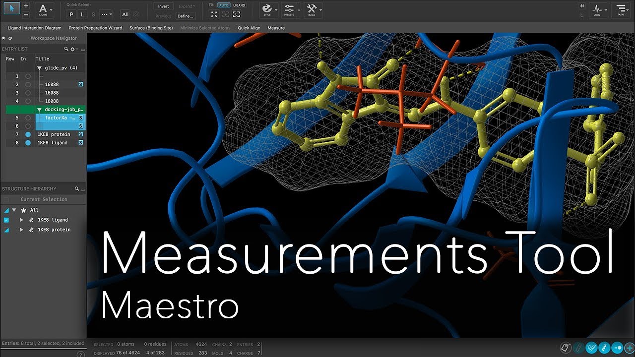 Maestro - Measurements Tool