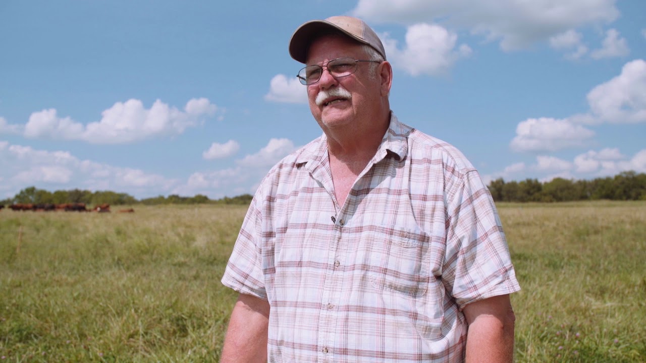Pasture Project Farmer Profile: Ted Krauskopf, Hickory Flat Cattle Company