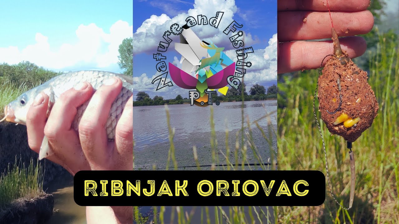 Ribnjak Oriovac (sjeo i sarancic) #ribolov #saran #pecanje