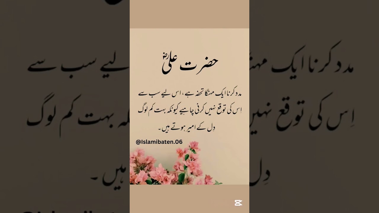 #islamicstatus #quotes #islamicpoetryinurdu #islami #shayari #unfrezzmyaccount #islamistories
