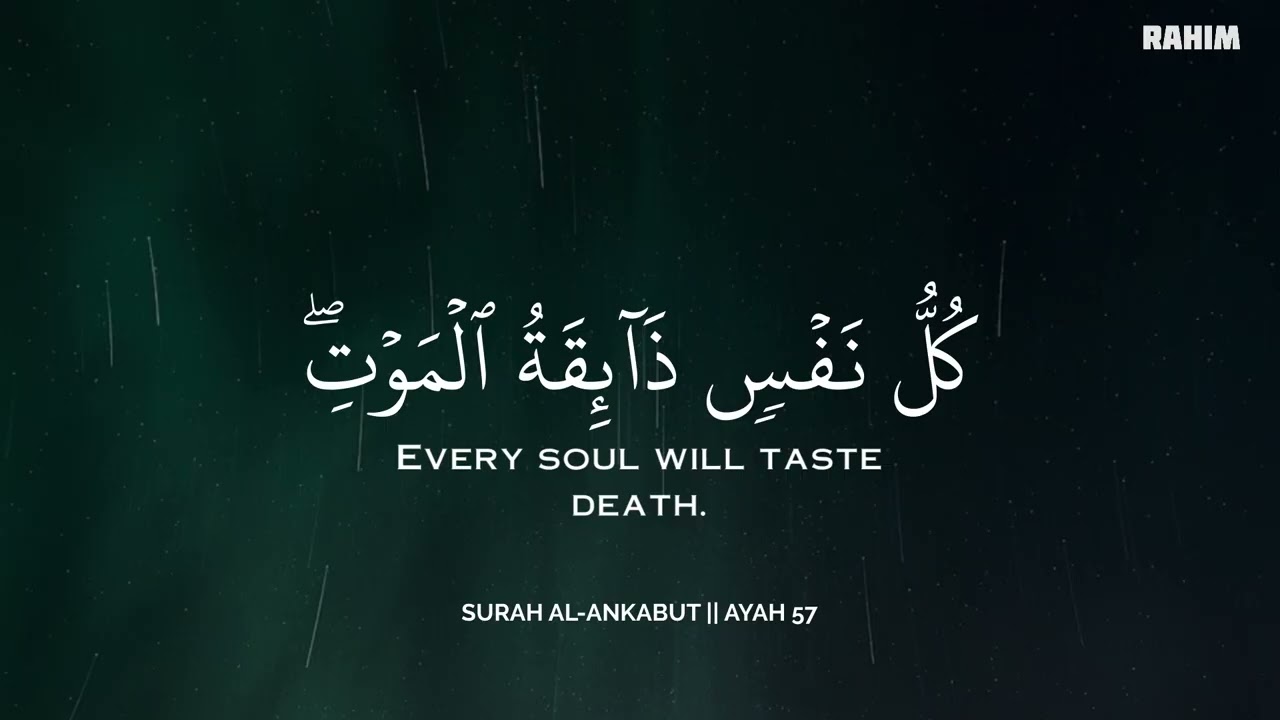 رح سمعك وقلبك بالقرآن❤️🎧 وأستمع لتلاوة هادئه بصوت محمد هشام | راحة نفسية😌 | Mohamed Hesham