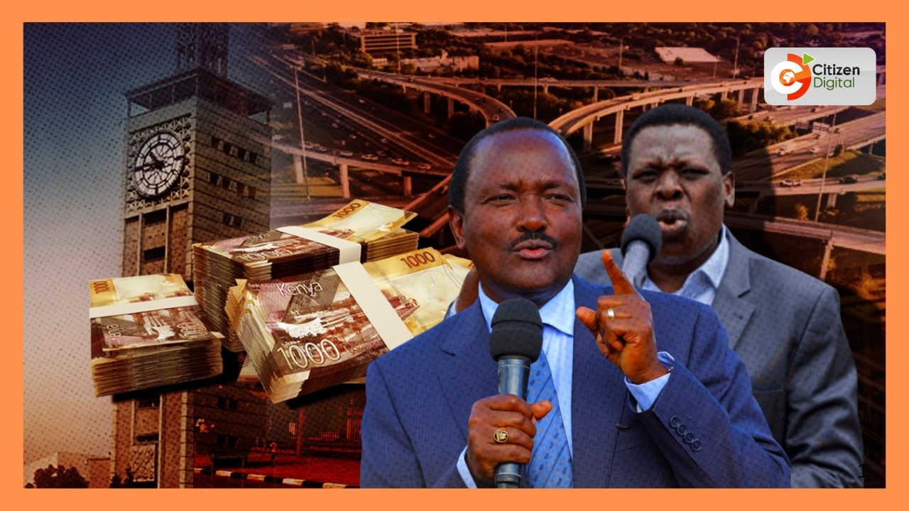 Upinzani wapinga hazina mpya ya miundomsingi
