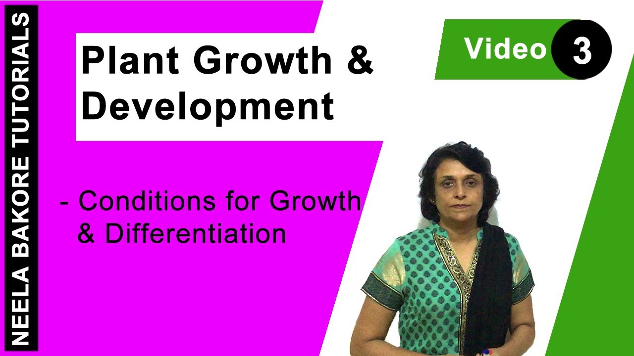 Plant Growth & Development | NEET | Conditions for Growth & Differentiation | Neela Bakore Tutorials