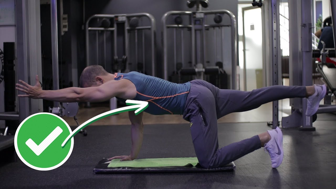 Bol u DONJEM DELU LEDJA ❓ 🤔 Radi OVE VEZBE ✅ McGill Big 3 💪🏻