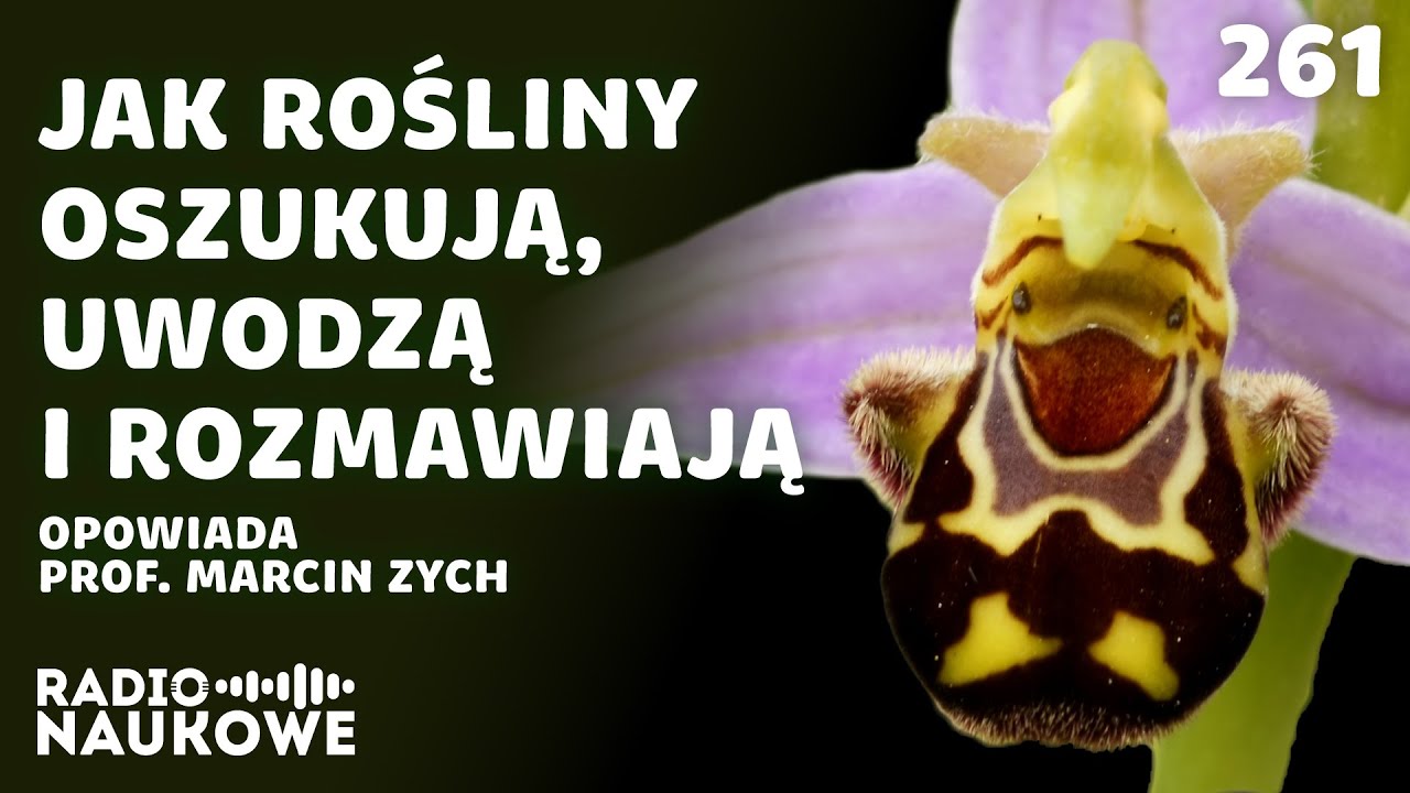Komunikacja roślin – jak natura nauczyła się mówić bez słów | prof. Marcin Zych