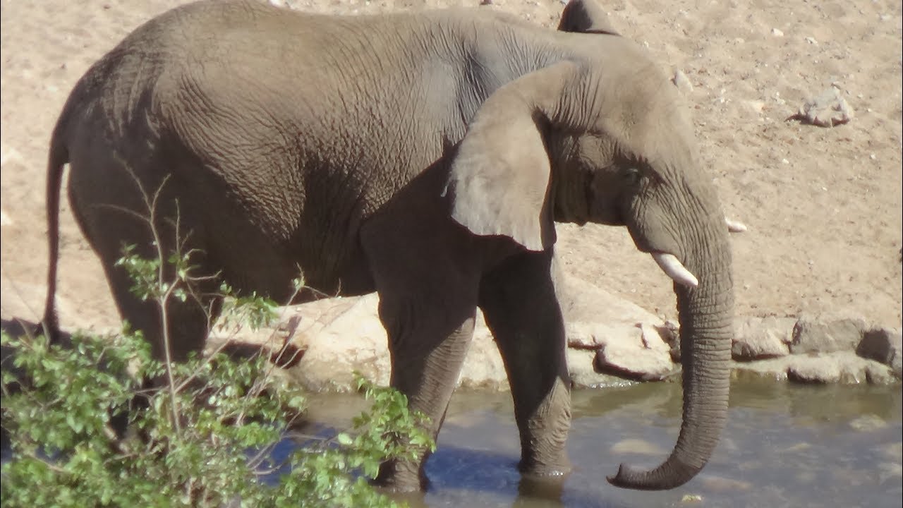 4X4 Etosha National Park, Namibia, Ep 173